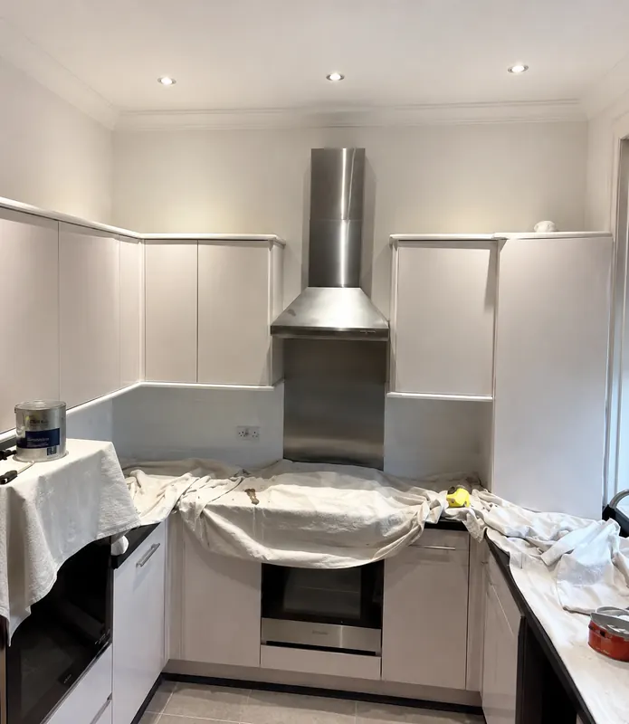 Kitchen cabinets before respray